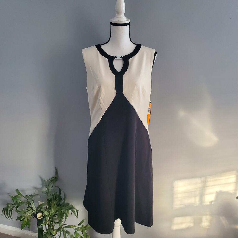 ILE New York Sleeveless Color Block Dress 12